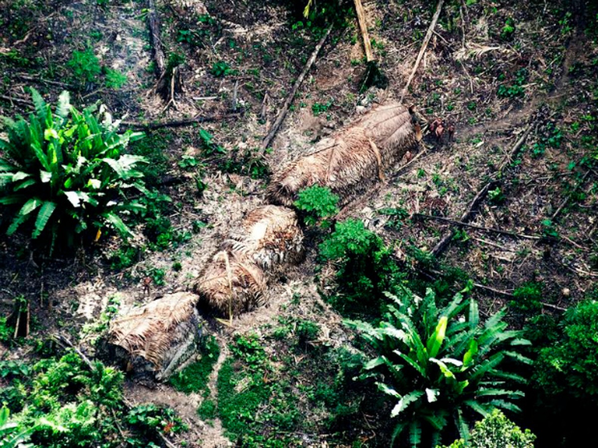 Moro determina envio da Força Nacional para apoiar Funai em terra indígena do Amazonas