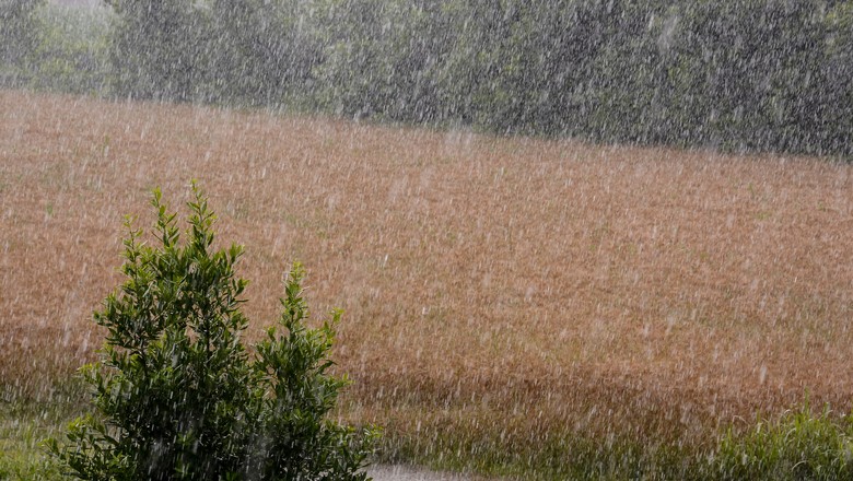 soja grãos plantação chuva tempestade lavoura (Foto: Getty Images)