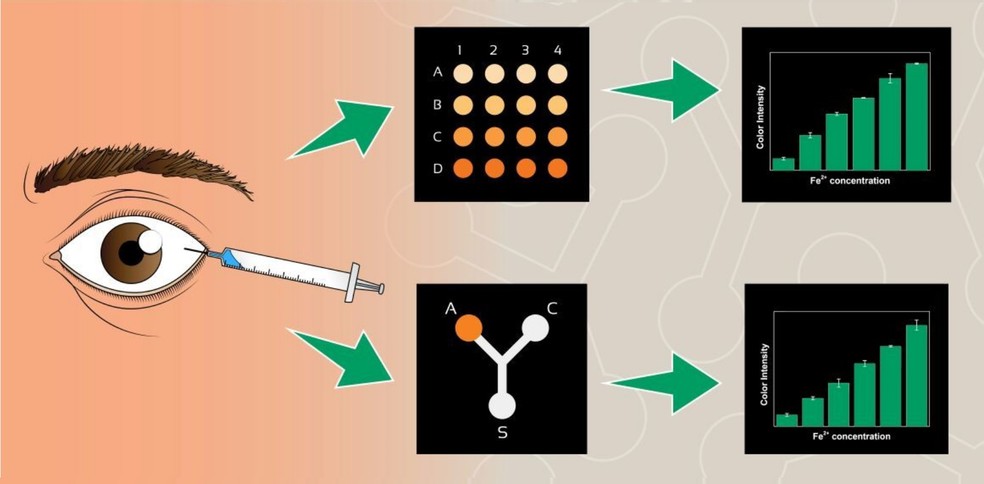 Escala de cores indica tempo de morte do cadáver (Foto: Divulgação/UFG)