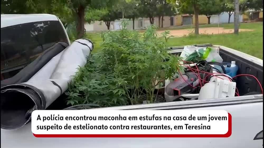 VÍDEOS: assista às reportagens da Rede Clube de quarta-feira, 31 de maio de 2023