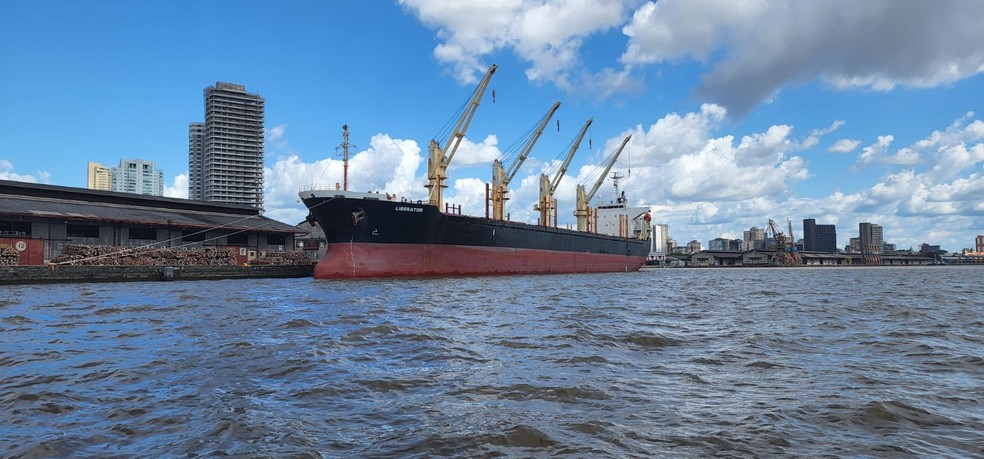 Navio M/V Liberator no Porto de Belém para o inédito embarque de madeira teca certificada. Carga tem a Índia como destino final — Foto: Divulgação/Grupo Atlântica Matapi