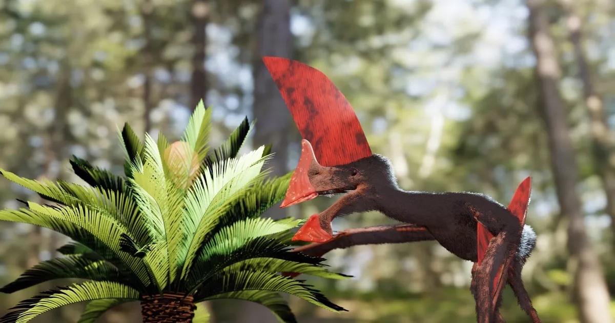 Fóssil de pterossauro brasileiro que seria contrabandeado é o mais bem conservado da espécie, diz estudo