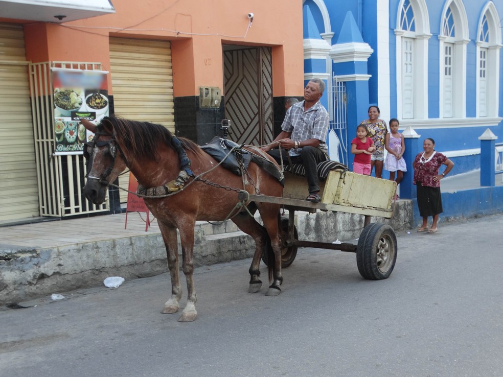 José Alcides passeia com o cavalo pelas ruas de Panelas (Foto: Joalline Nascimento/G1)