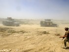 ONG alerta para 'desastre humanitário' em Fallujah, no Iraque