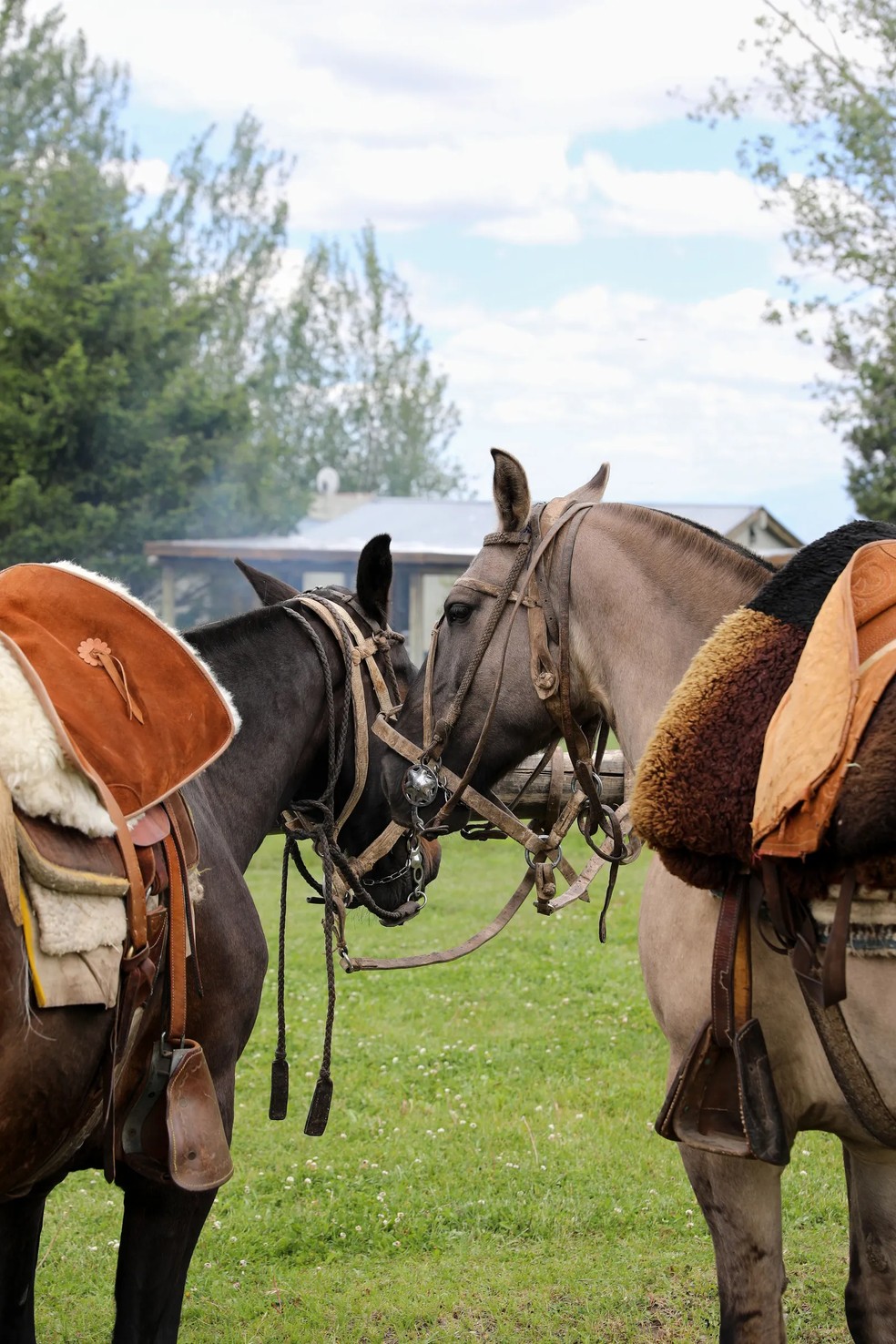 Em Los Chulengos, uma fazenda de gado ativa, os hóspedes podem andar a cavalo ao pé da Cordilheira dos Andes  — Foto: Christine Chitnis / Reprodução / Instagram