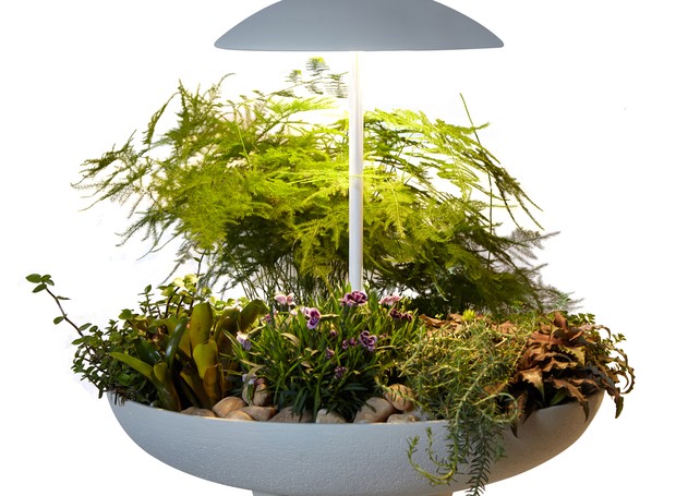 O designer Maurício D’Avila, da Geo Luz & Cerâmica, lançou o abajur Garden que cumpre a função de iluminar e ter, ao mesmo tempo, um minijardim (Foto: Divulgação )