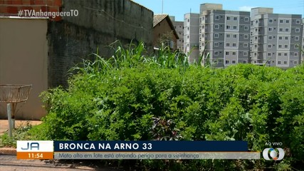 Moradores da Arno 33 reclamam de mato alto em lote abandonado