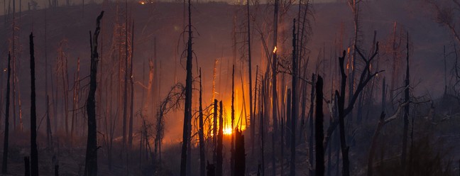 Incêndio florestal atinge a Califórnia — Foto: David McNew / AFP
