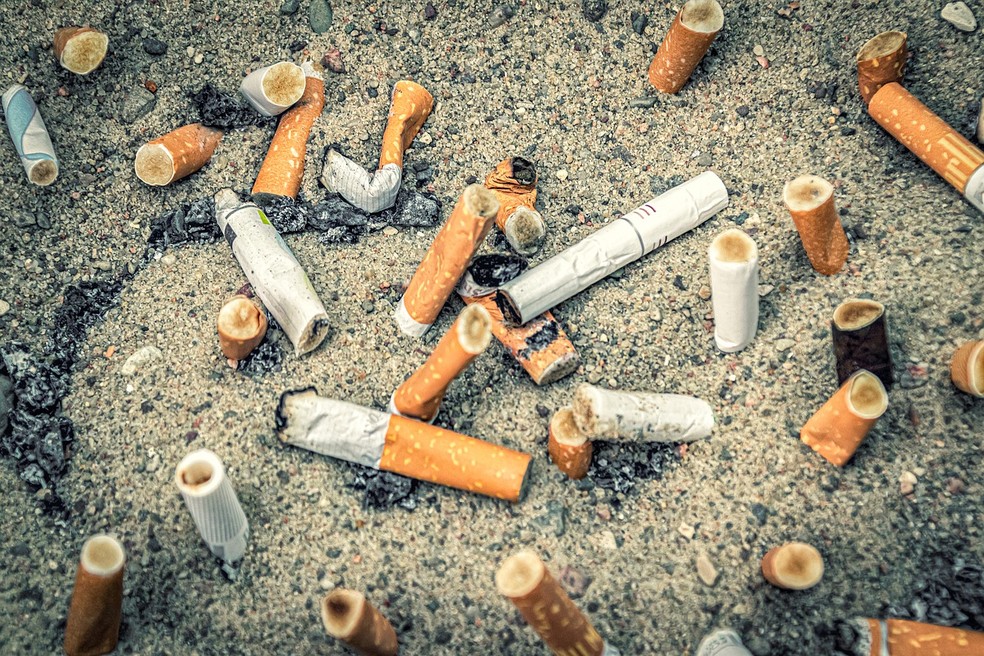 Cigarros apagados em cinzeiro. Em média, fumantes compõem cerca de 10% da população brasileira - entre aqueles com menos anos de estudo, o percentual é maior — Foto: Pixabay