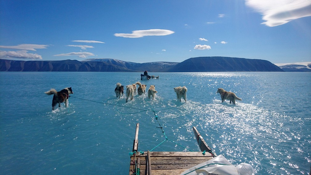 Foto, de junho de 2019, mostra cachorros puxando trenó com as patas submersas na água de gelo derretido no noroeste da Groenlândia — Foto: Steffen M. Olsen/Centre for Ocean and Ice at the Danish Meteoroligical Institute via AP