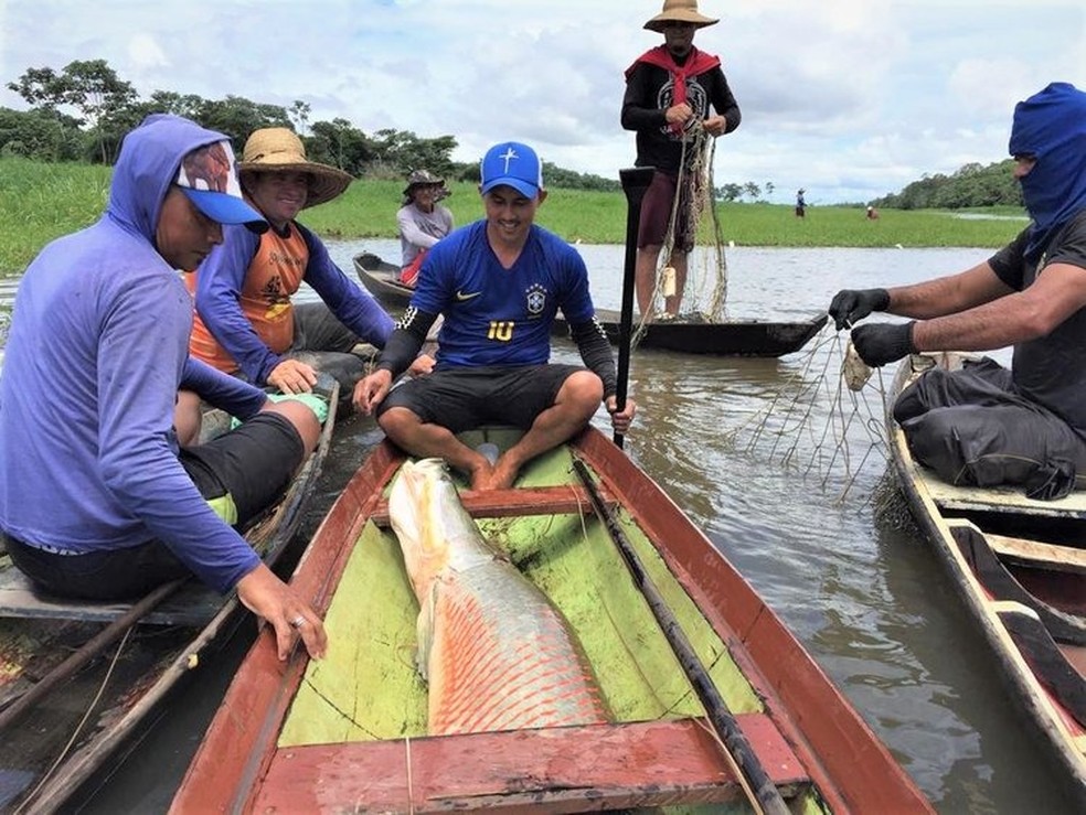 Mais de uma tonelada de pirarucu manjeado foi pescada em Pixuna do Tapará — Foto: Sapopema/Divulgação
