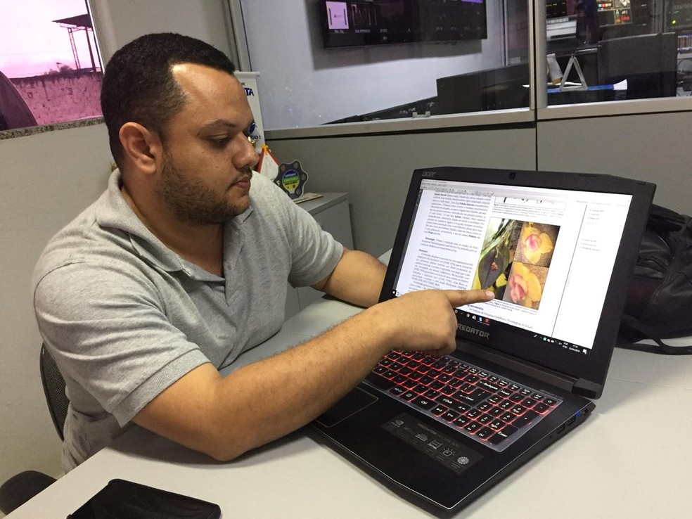 Nova espécie rara de orquídea nativa é descoberta no ...