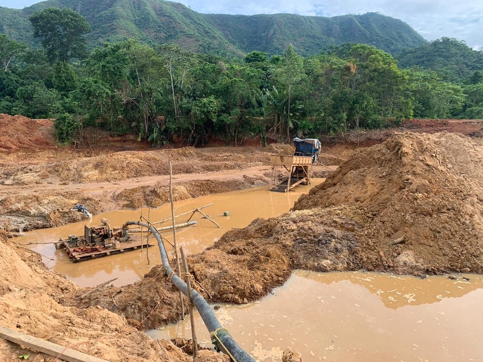  apreende dinheiro e resgata pessoas  em regime de escravidão no PA | Pará | G1