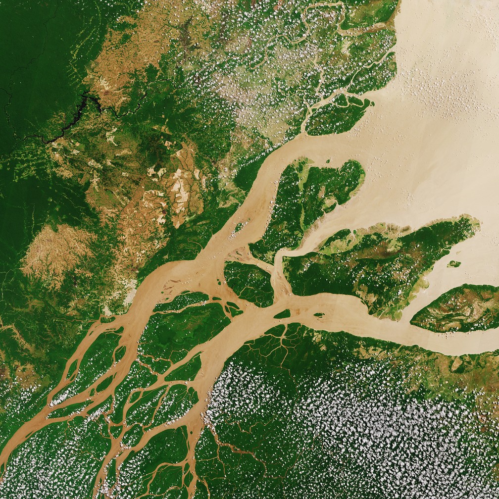 Dados De Satelites Da Franca Avaliam Riscos De Inundacoes As Margens Do Rio Amazonas Amazonia G1
