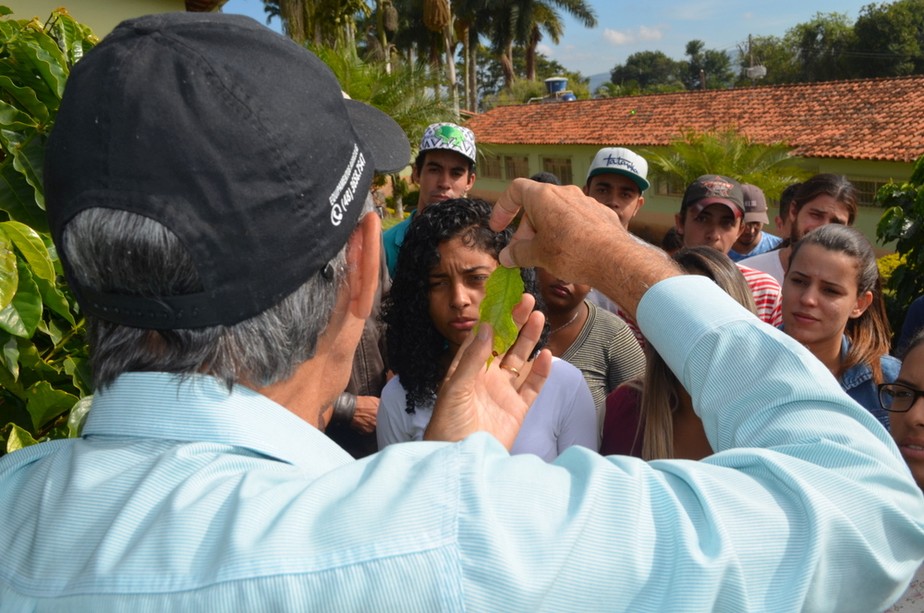 Ouro Verde: Sul de Minas é pioneiro na formação acadêmica de especialistas em café