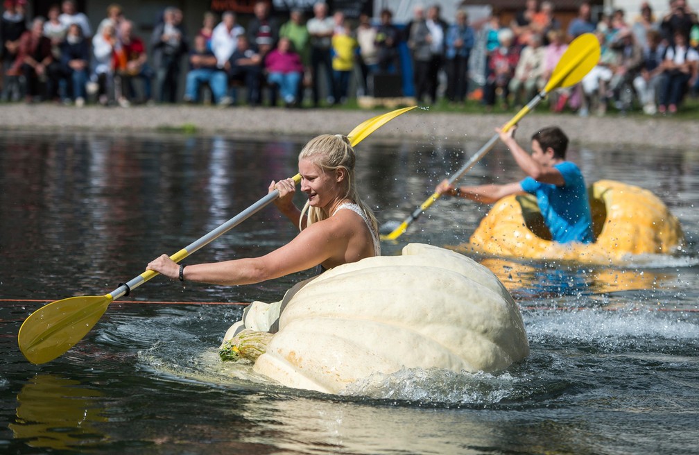 Alemanha tem torneio de remo em abóboras gigantes (Foto: Jens-Ulrich Koch/dpa via AP)