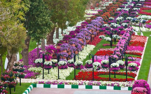 Escritorio Ganha Jardim Com Folhagens Em Casa De Vila Casa E Jardim Paisagismo