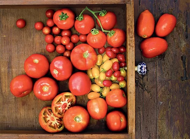 Tipos de tomate (Foto:  )