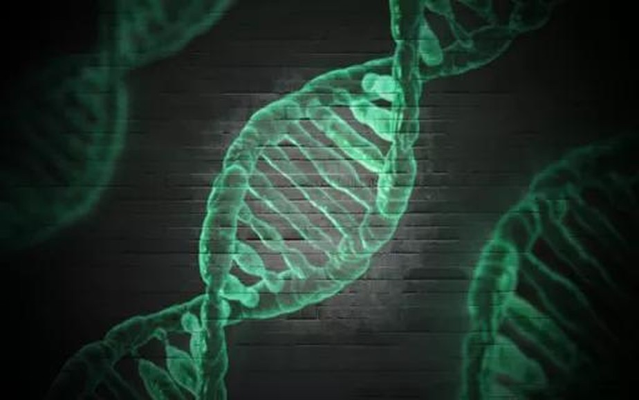 “O DNA social pode mudar nosso DNA individual”, diz especialista em epigenética