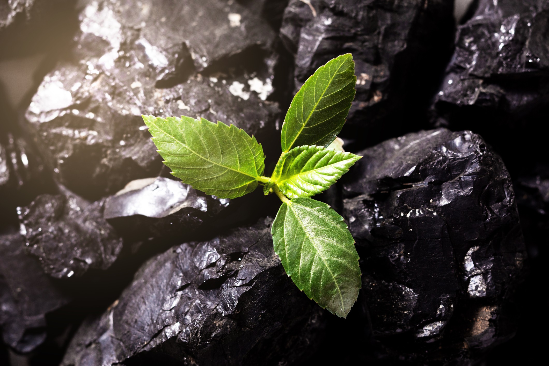 Sustentabilidade e mineração em convergência