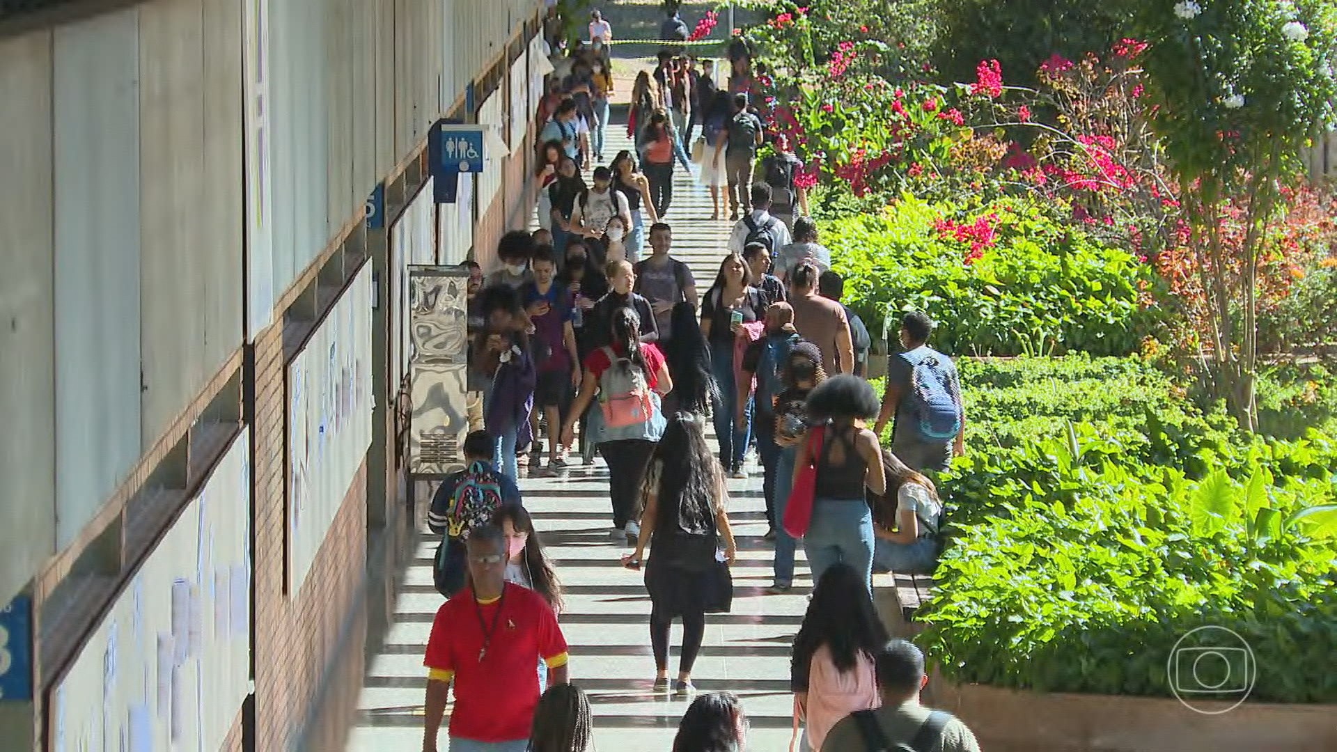 Menos de 30% dos estudantes que entraram na universidade em 2017 concluíram o curso