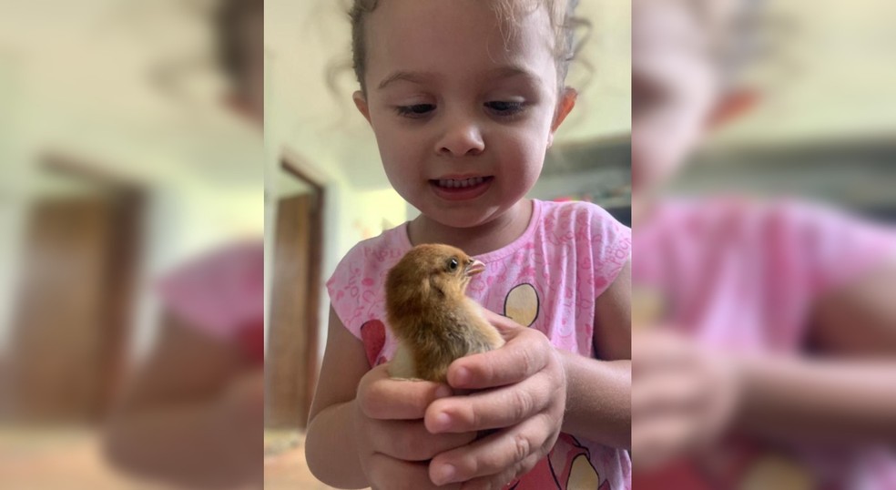 À época com dois anos, a pequena Beatriz Zem conhecendo um pintinho de estimação da fazenda do avô — Foto: Arquivo pessoal/Rafaela Zem