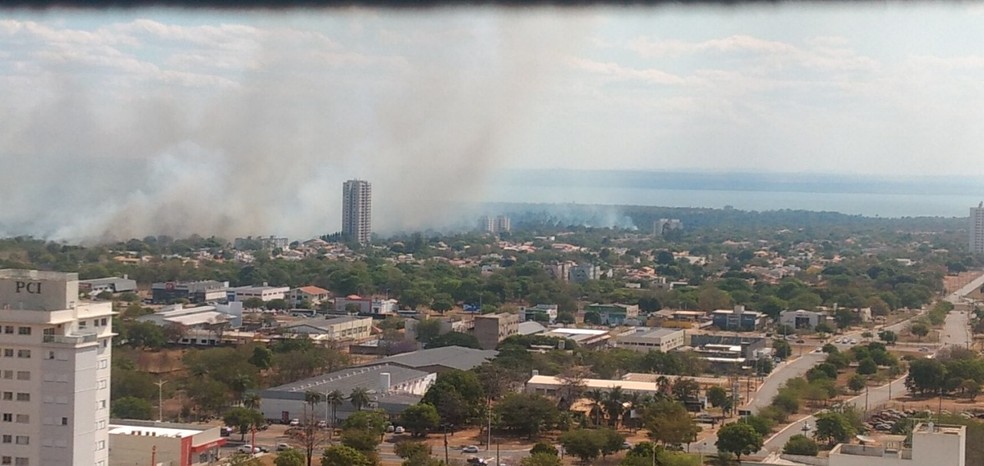 Coluna de fuma&ccedil;a pode ser vista de longe em Palmas &mdash; Foto: M&aacute;rcia Mantovani/Divulga&ccedil;&atilde;o
