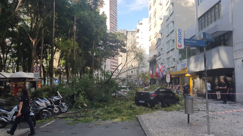 Situação ocorreu na tarde desta sexta-feira (25), na Praça Osório, no Centro da capital — Foto: Aline Pavaneli/RPC 