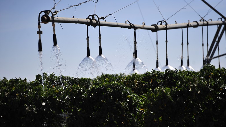 Irrigação-água-agricultura (Foto: Globo Rural)