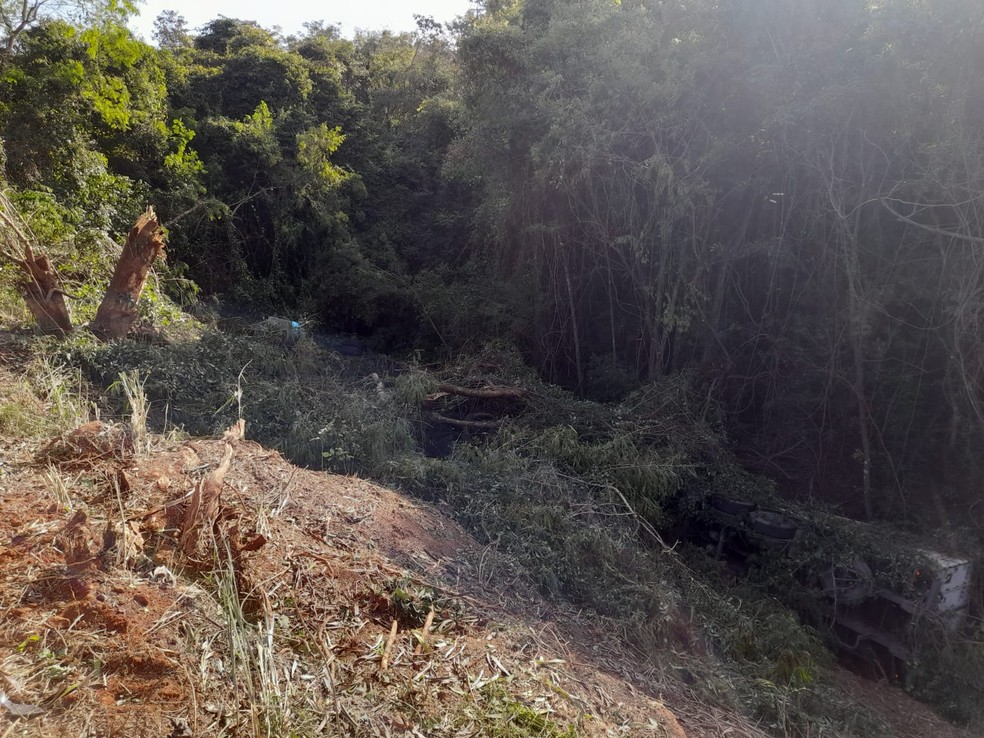  Motorista morre após tombar carreta carregada com carne em ribanceira em Taguaí (SP) — Foto: Corpo de Bombeiros/Divulgação