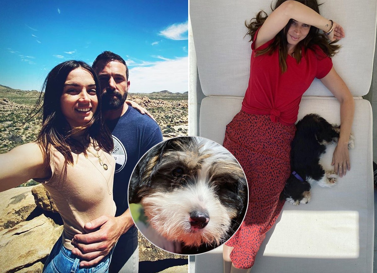 Ana de Armas mostra novo membro da família, o cachorro Salsa (Foto: Reprodução / Instagram)