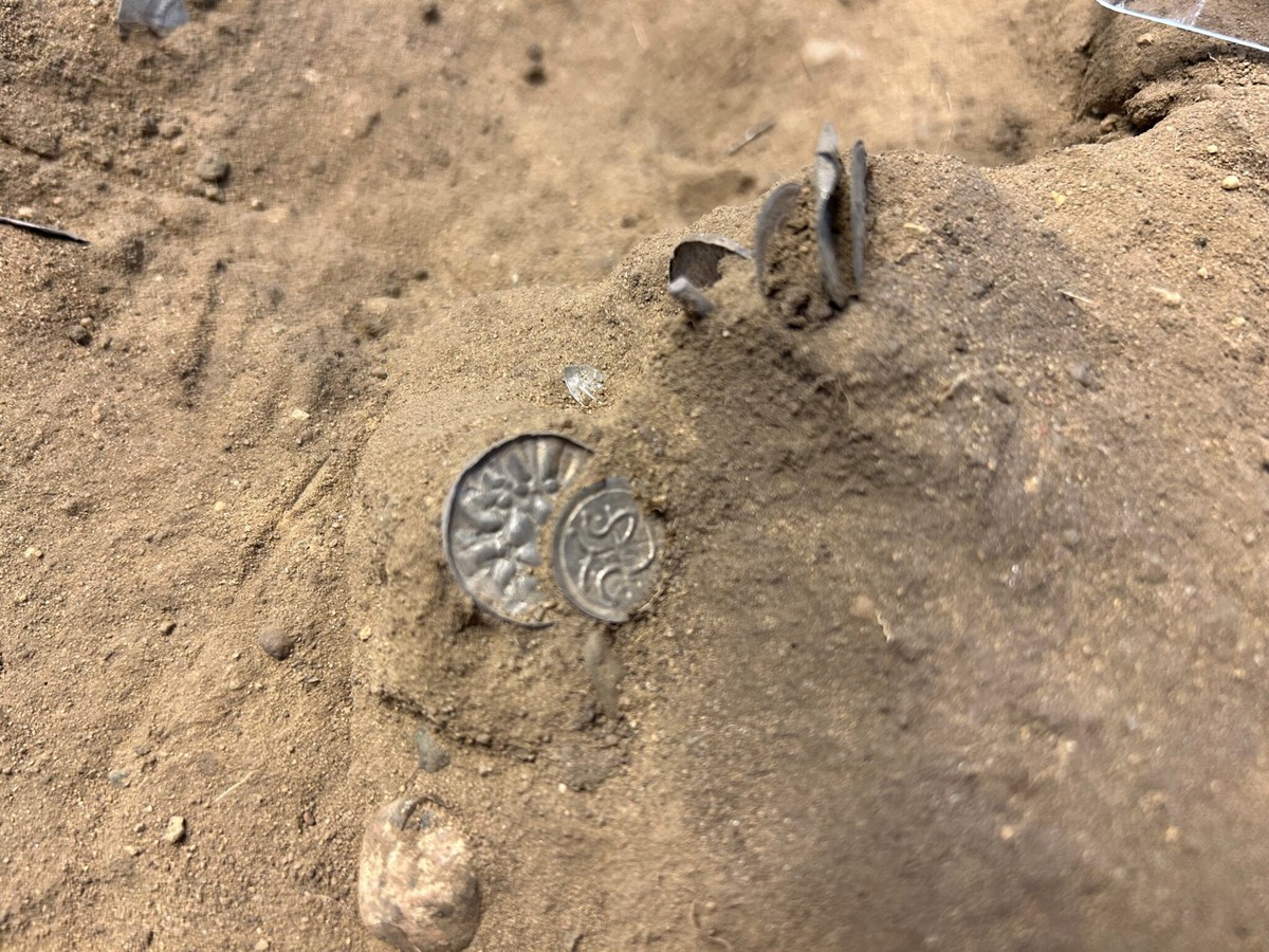 Mädchen findet 1.000 Jahre alte Wikingermünzen beim Spielen im Mais |  Bleib hier