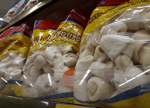 Veterinaria Explica Os Beneficios E Cuidados Ao Oferecer Ossos Para Cachorros Mundo Pet G1