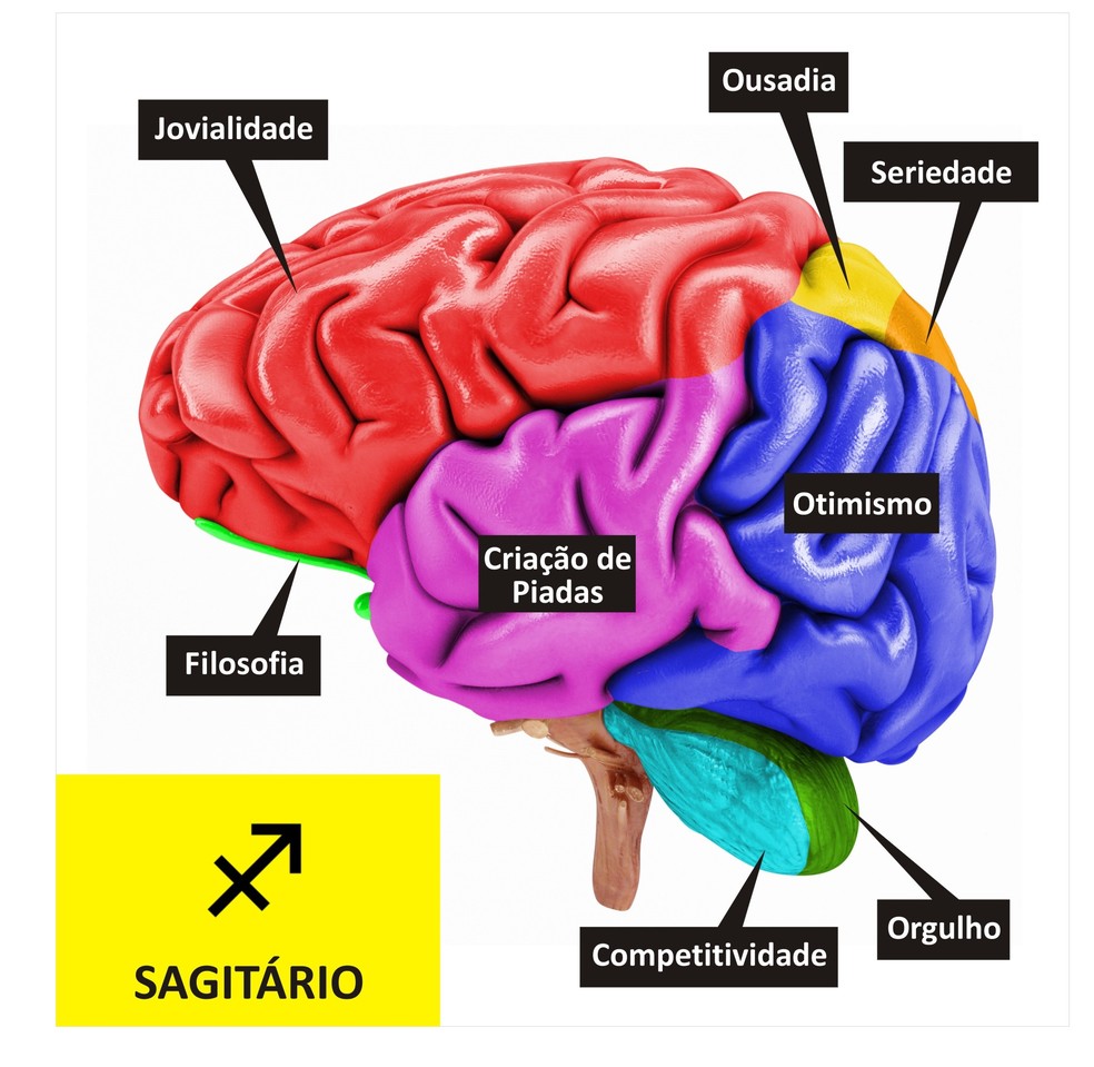 Cérebro de Sagitário  (Foto: TV Globo )