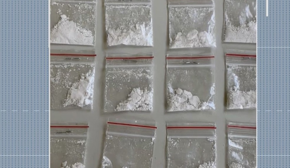 25 pacotes de cocaína são encontrados em imóvel com estufas de maconha, em Amélia Rodrigues — Foto: TV Subaé