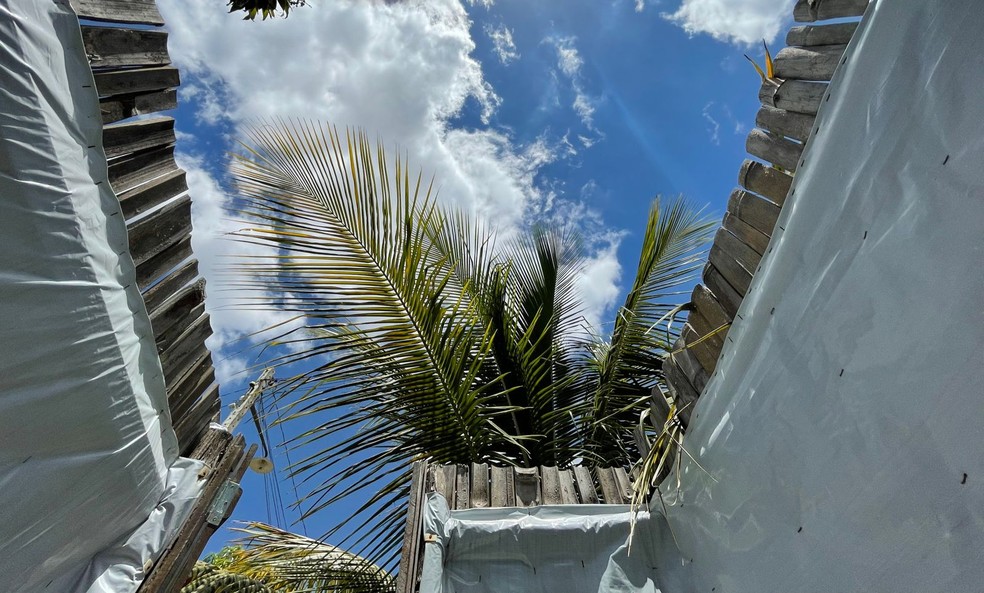 Vista do 'banheiro de Petruchio' em hotel de barracas na Paraíba — Foto: Sítio Casa de Vó/Divulgação