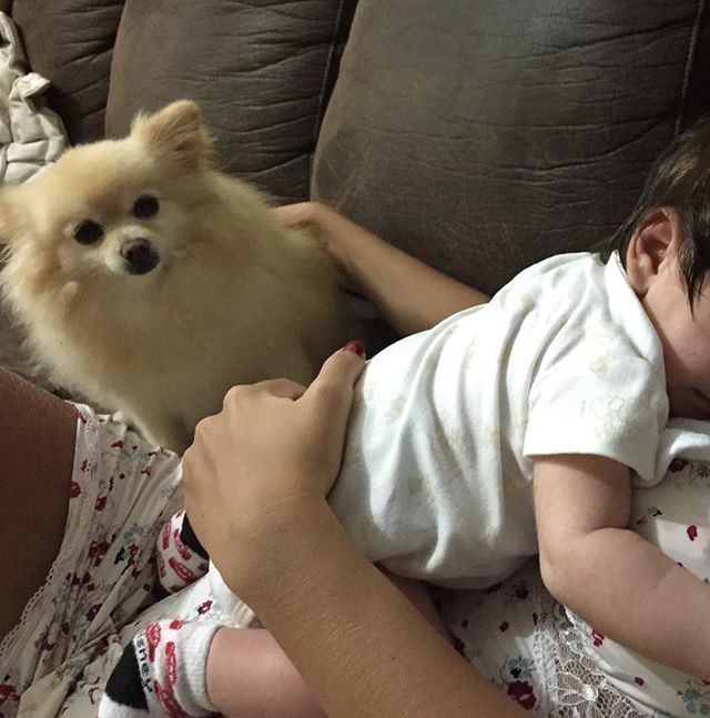 Rodrigão publica imagem de Adriana com o bebê e o cachorrinho (Foto: Reprodução)