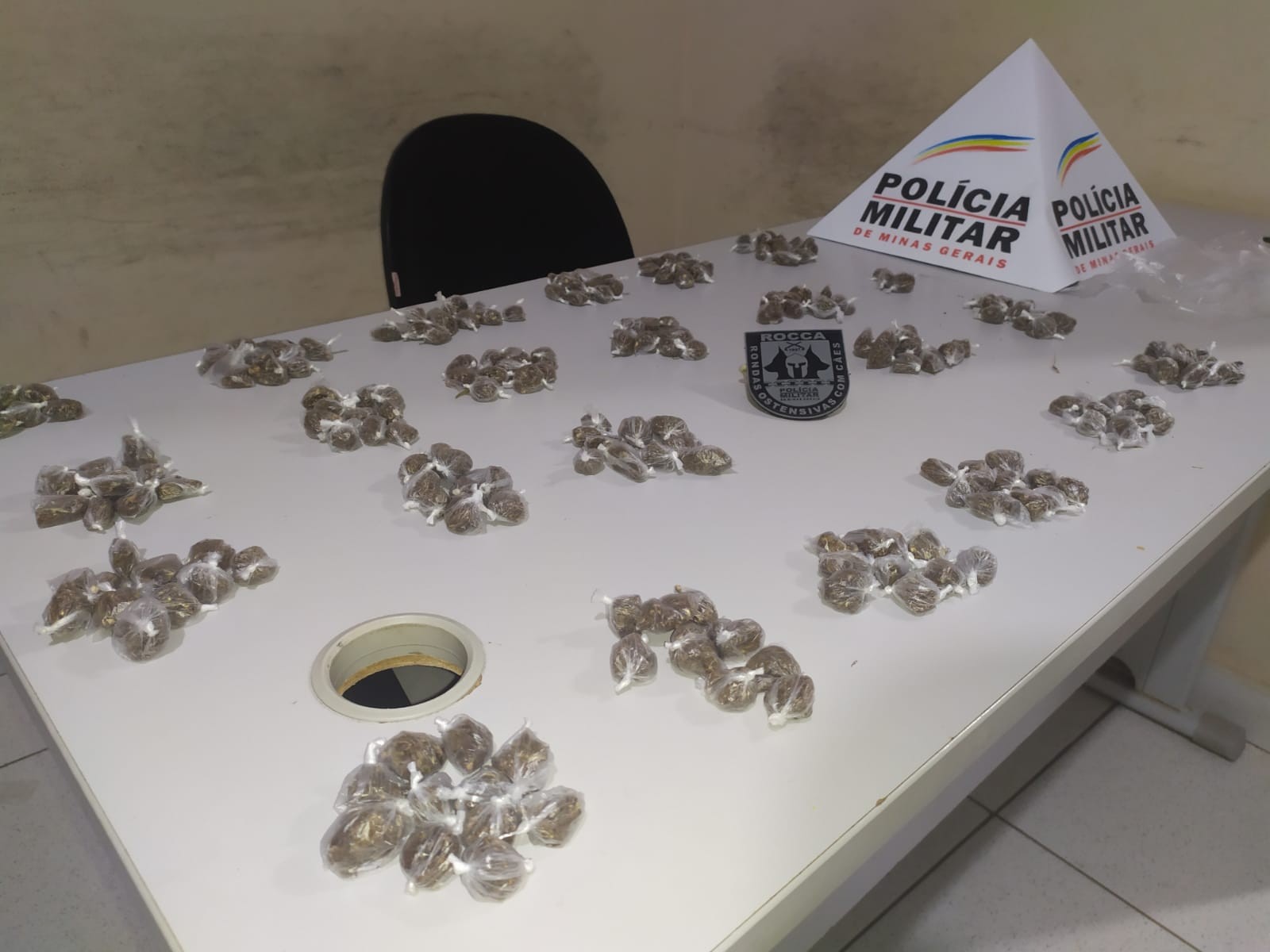 Com ajuda de cão farejador, polícia apreende mais de 200 buchas de maconha em Montes Claros