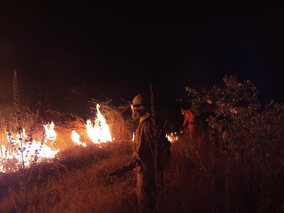 Bombeiros de Crateús combateram o incêndio em vegetação na cidade de Santa Quitéria, no interior do Ceará. — Foto: Corpo de Bombeiros/ Divulgação