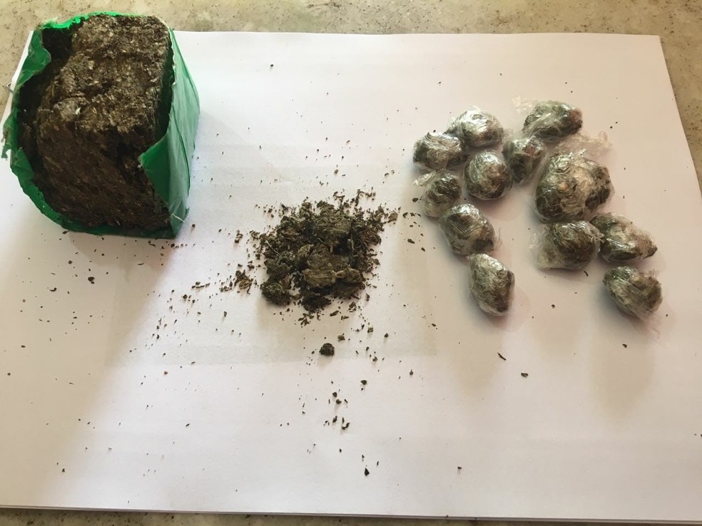 Com os suspeitos foi apreendida substância análoga à maconha — Foto: Divulgação/PC