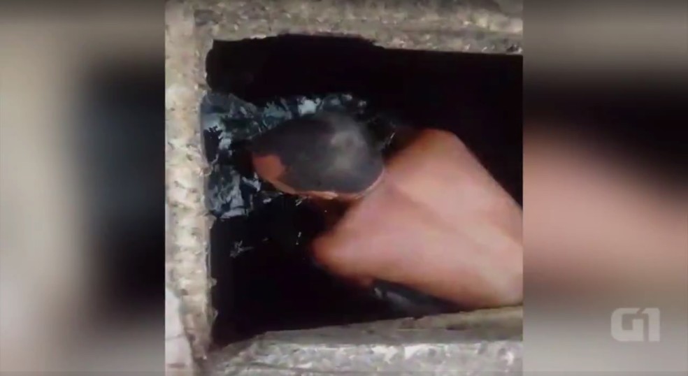 Homem entra em reservatório para tirar baratas de tubulação (Foto: Reprodução)