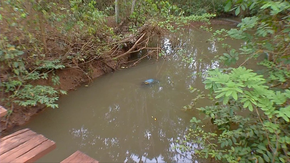 Corpo foi encontrado em cÃ³rrego (Foto: TVCA/ ReproduÃ§Ã£o)