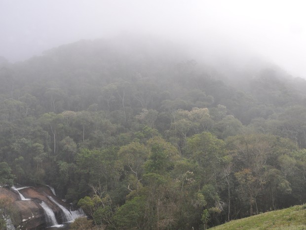 Grupo liderado pela Universidade Federal de Lavras, em Minas Gerais, avaliou 33 anos de dados acerca das florestas decíduas, semideciduais e perenes do estado (Foto: Rubens Santos/Phys)