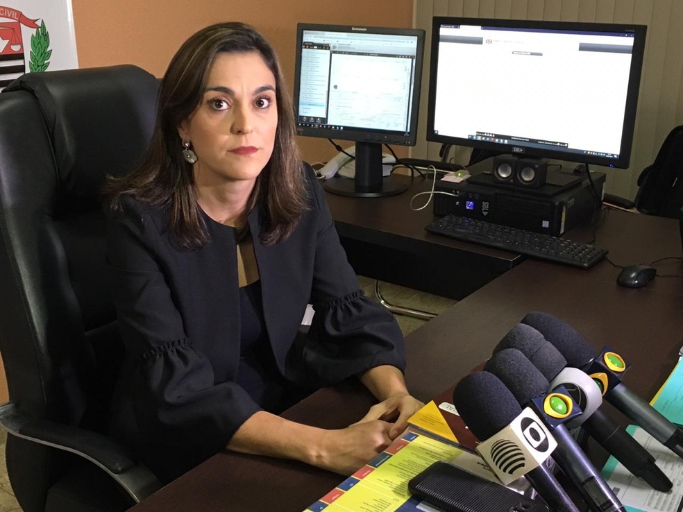 A delegada Adriana Pavarina, responsável pelas investigações — Foto: Wellington Roberto/G1