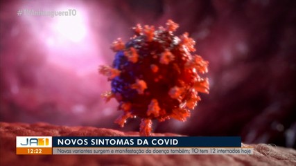 Tocantins tem 12 pessoas internadas por Covid-19