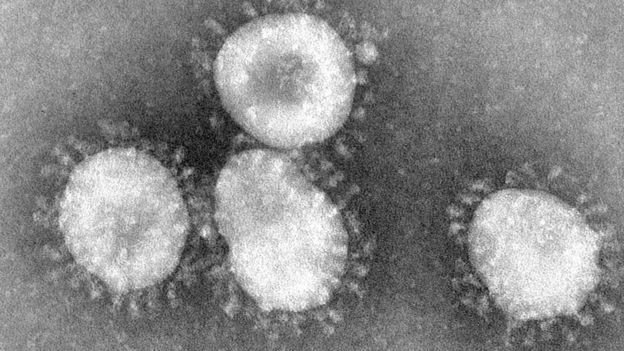 BBC - Coronavírus são um grupo de vírus que tem uma espécie de coroa em volta (Foto: Getty Images via BBC News)
