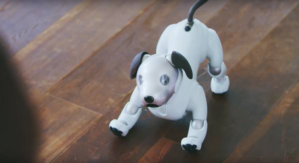 Aido 2025 robot dog