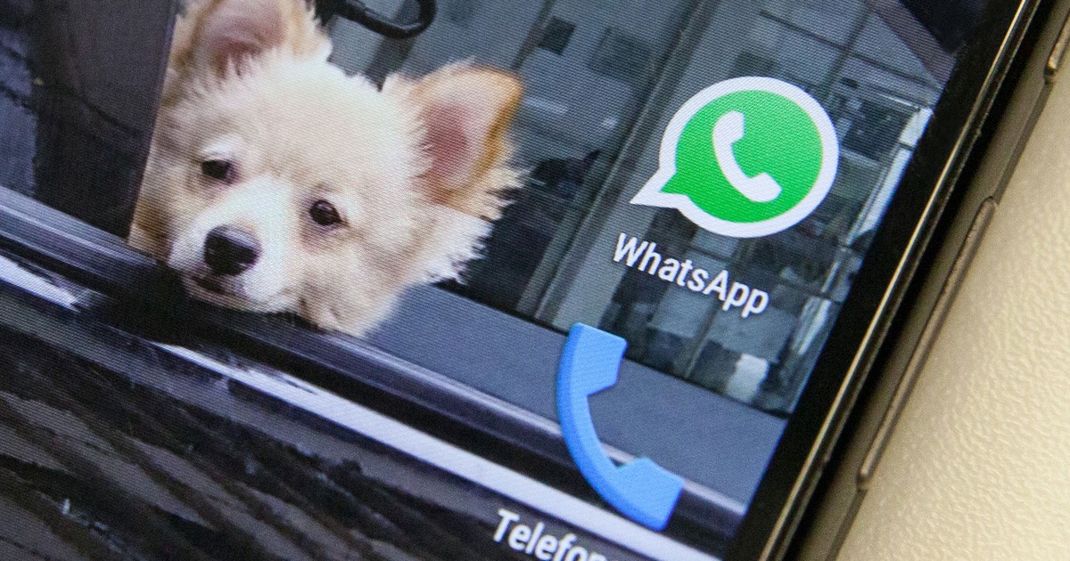 WhatsApp começa a compartilhar informações com Facebook - Reclame Aqui  Notícias