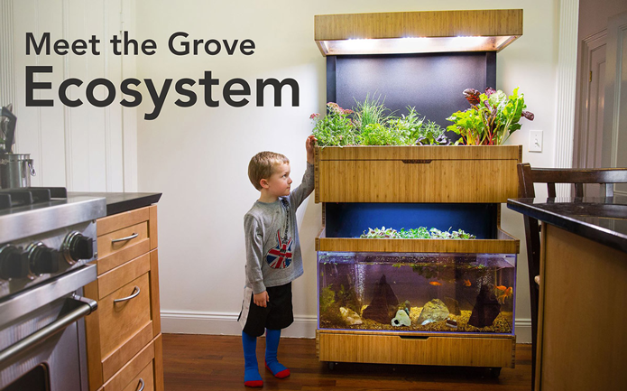 Grove Ecosystem é uma alternativa para cultivar alimentos de forma inteligente, dentro de casa (Foto: Divulgação/Grove)