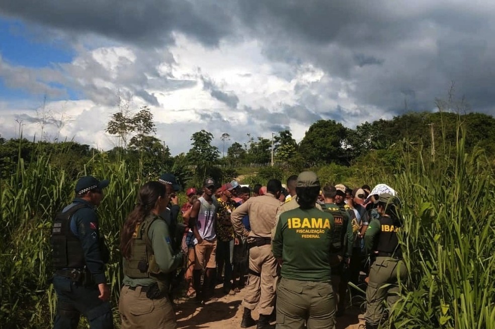 Profissionais do Ibama durante ação na Amazônia Divulgação — Foto:         